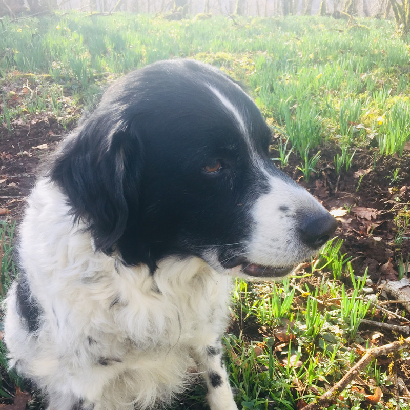 69B247EA-49BB-4989-B998-8E79C62A3D19