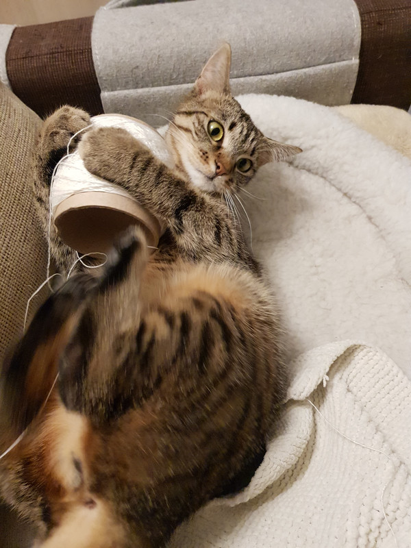 20190601-233519.jpg