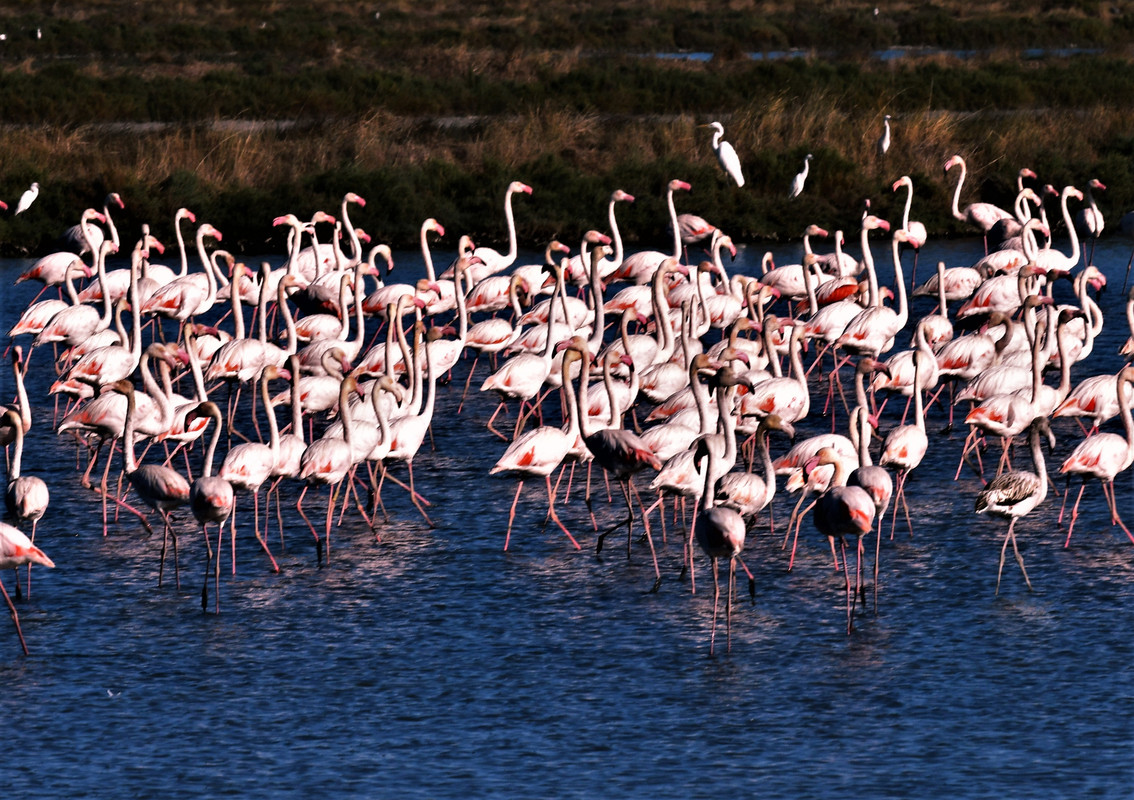 DSC_7733 (2)_1743368307541