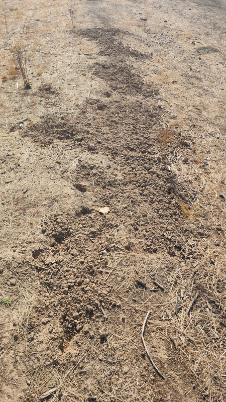 [Image: 20231104-124844.jpg]