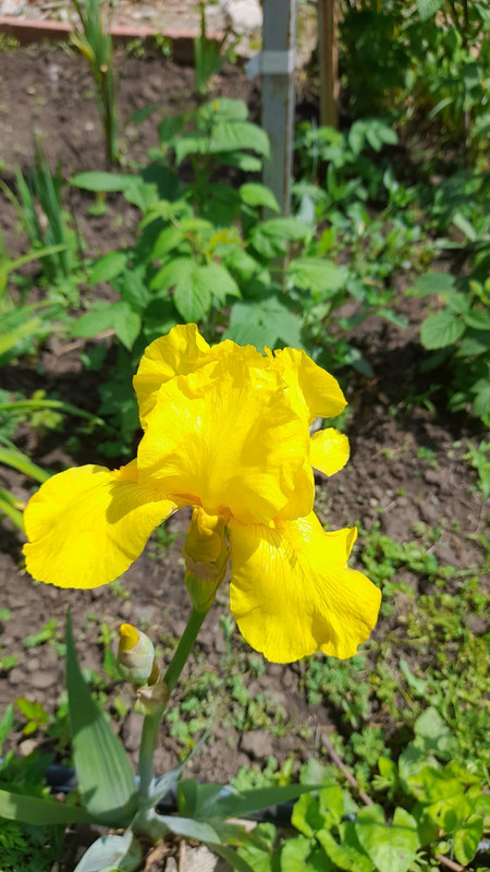 Изображение WhatsApp 2025-05-14 в 12.00.02_984df594