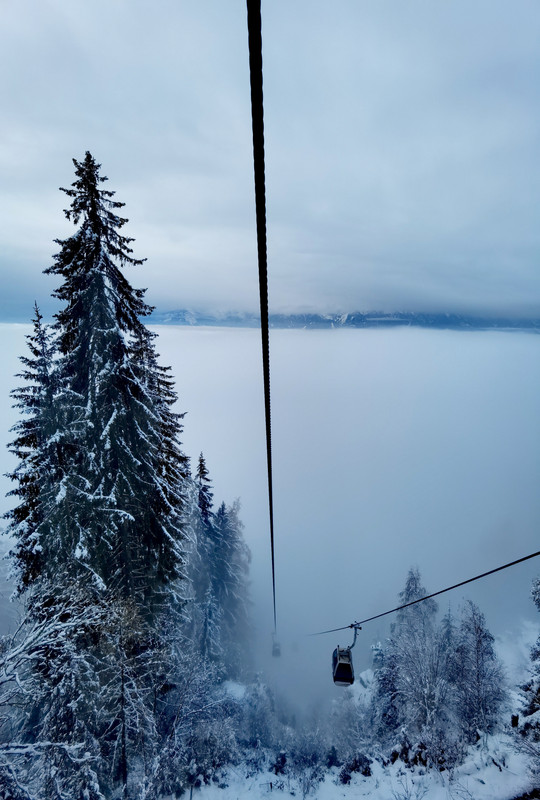 IMG_20221205_100738_edit_134817050445052