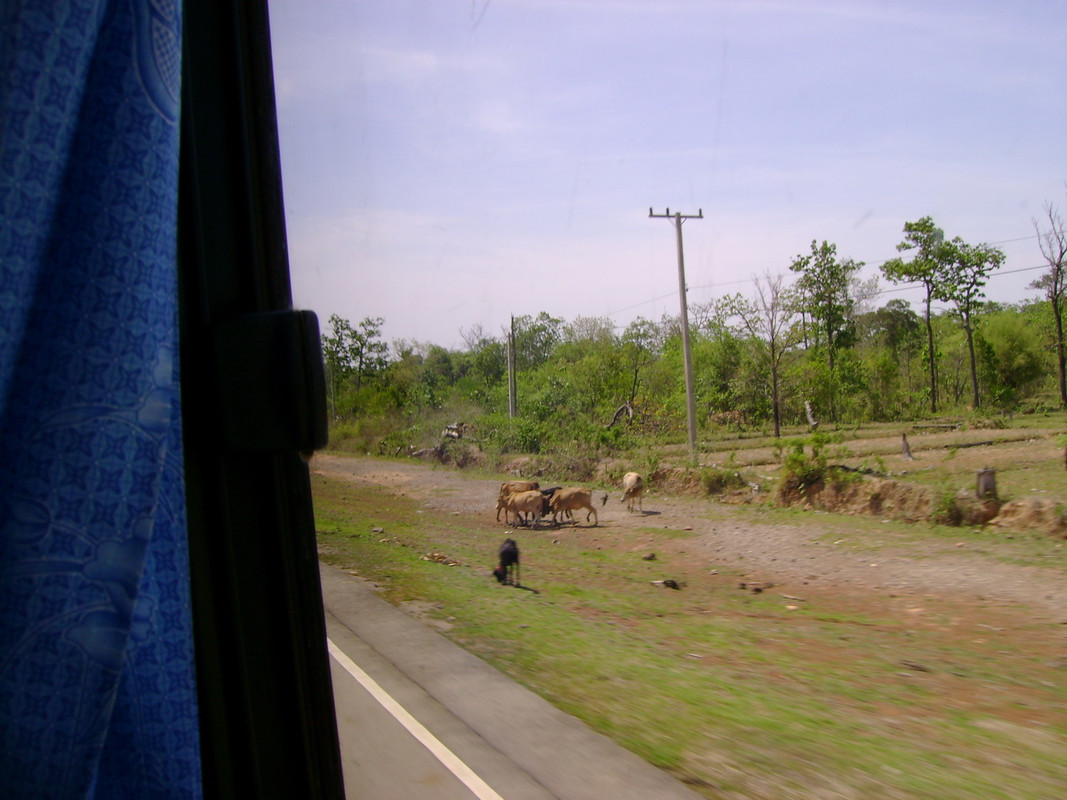 DSC00029-resize
