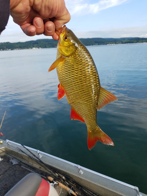 20180729_073400