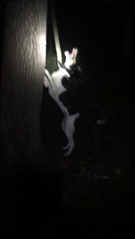 A9683B7A-C84B-479C-9ECA-526F630804A5