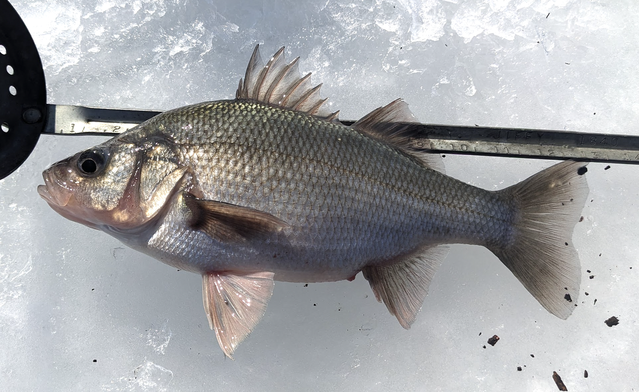 Screenshot 2026 02 15 at 8 44 34 PM