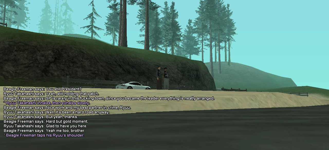 SP377.png