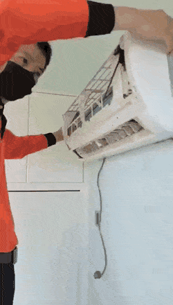 daily-gifdump-3390-29.gif