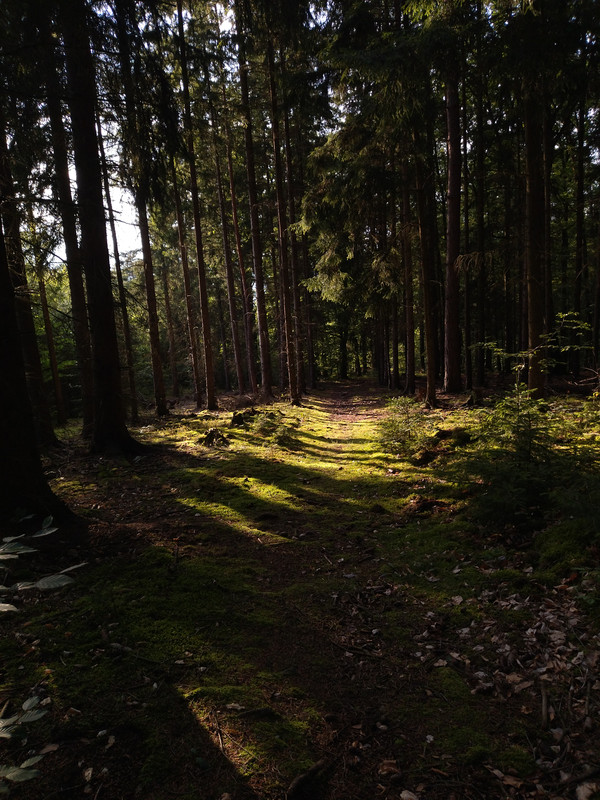 IMG-20250727-185010-1