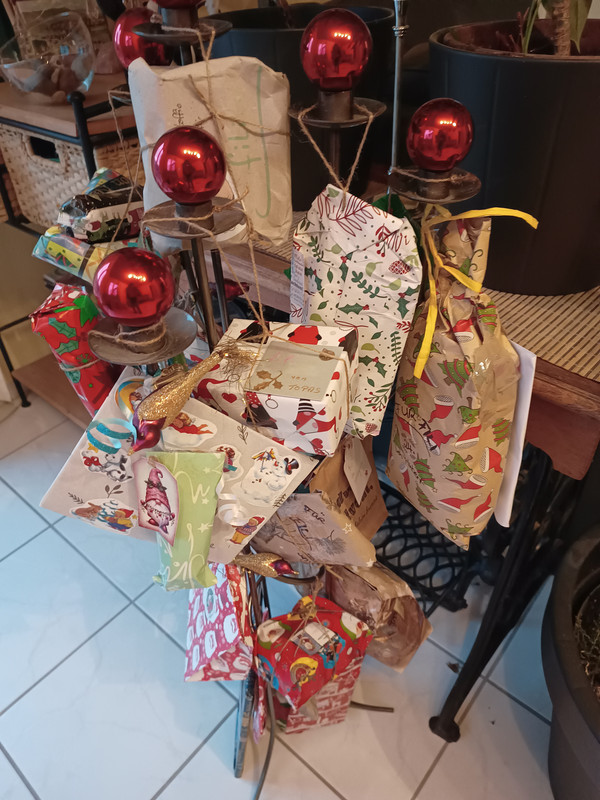 IMG_20241125_163224950