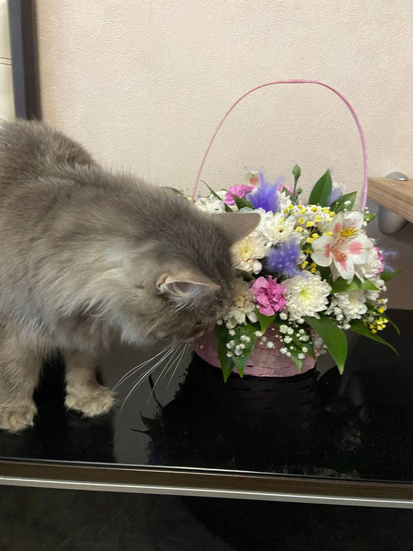 5A6000FB-FF70-489D-8846-A5EAE76371C4