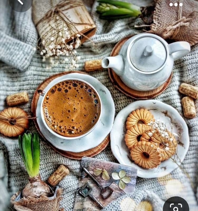 Screenshot_20231031_174906_Pinterest