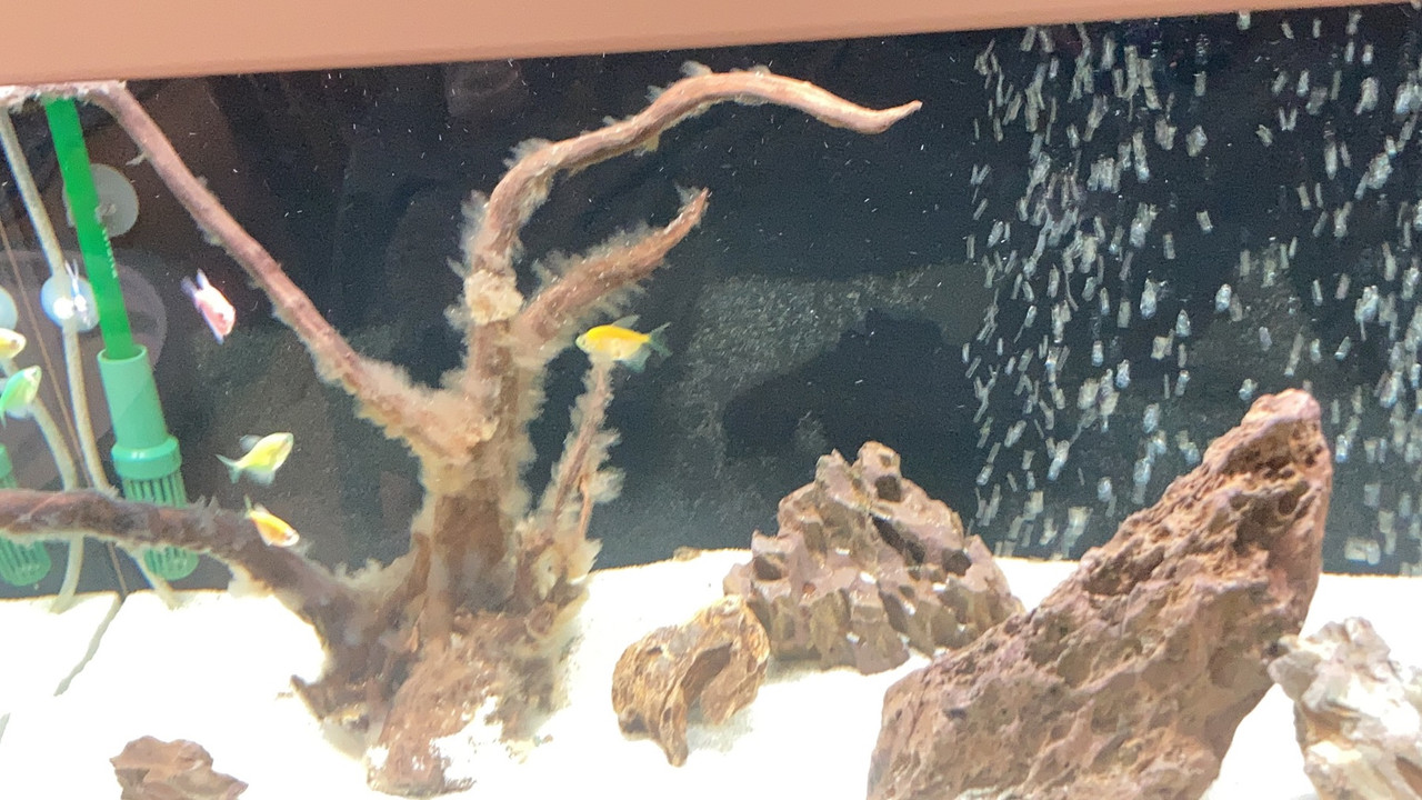 3F32CF3C-B0B1-409C-9C13-0632E6483FC1