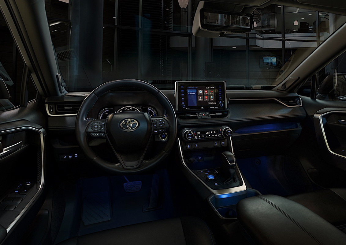 2019 Toyota RAV4 (9)