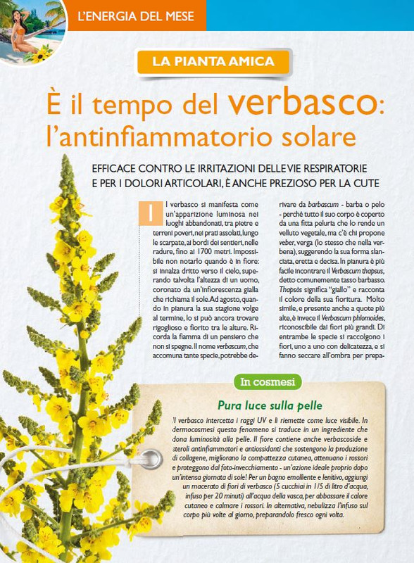 Sal Nat Ago 2025 (3)