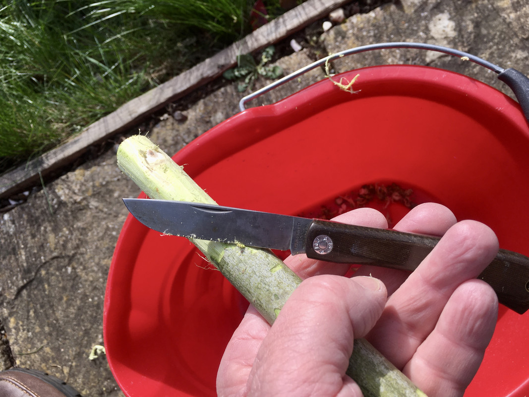 283DA4F2-6DF9-48D5-9A97-92C2561C7A70