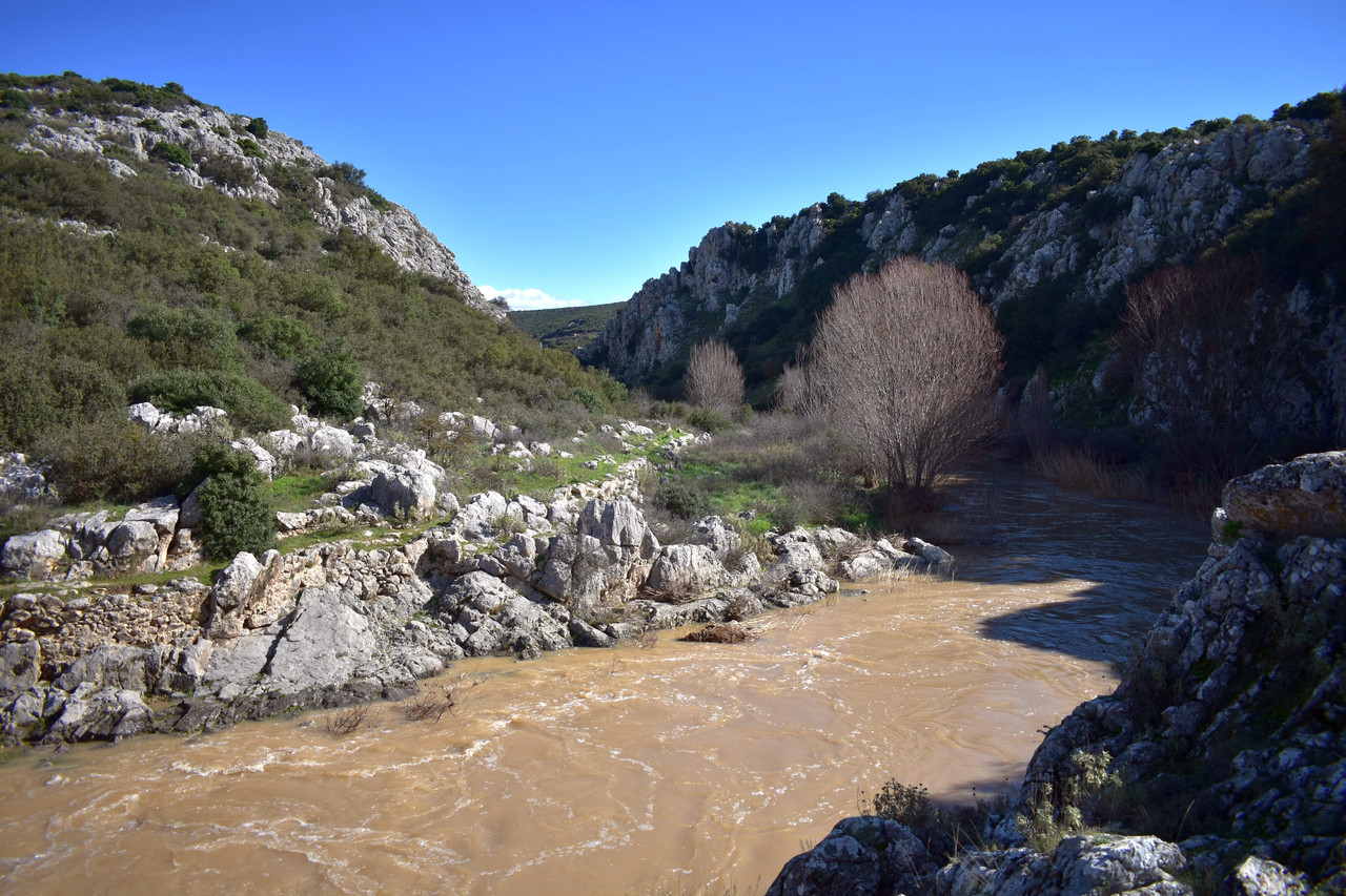 Πέτρινο γεφύρι Δαφνούλας (7)