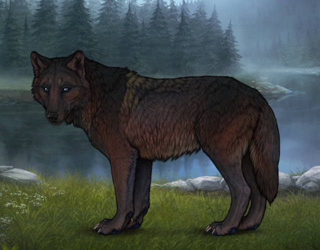 image 2025 12 19 033847180