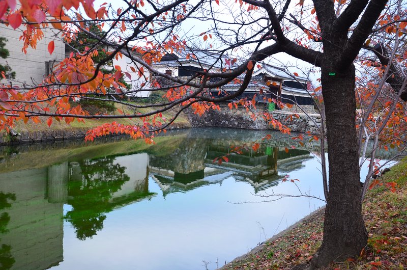 Japón y sus Pueblos-2024 - Blogs de Japon - Matsumoto-13 y 14-11-2024 (39)
