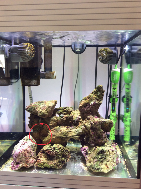 20446BC5-CD9D-4C01-9724-65520A62B16A