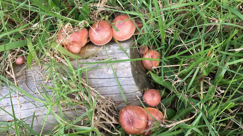 980C8E91-E112-4921-A051-37C9CC574367