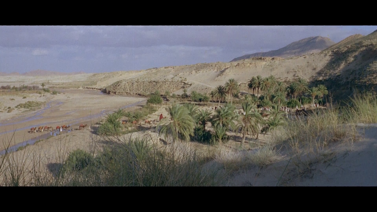 vlcsnap-2023-04-26-15h28m40s988