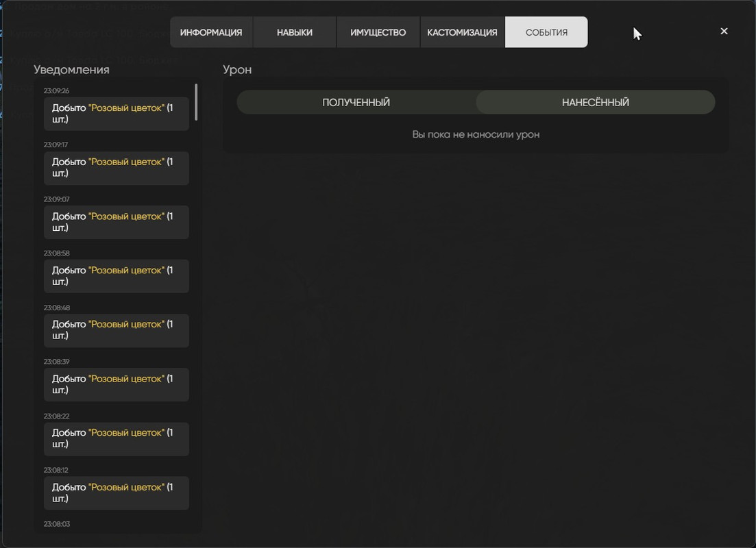 Скриншот 24.08.25_23.10.04