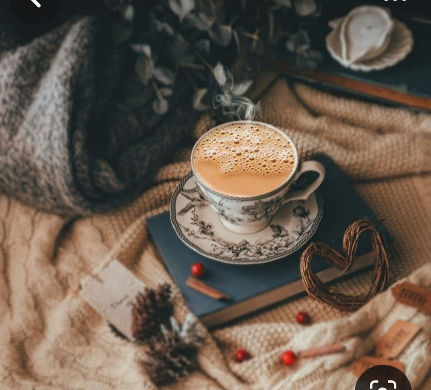 Screenshot_20240203_193752_Pinterest