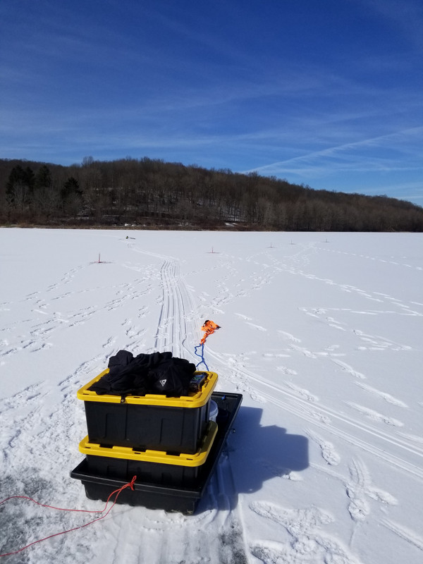 20190219_131903