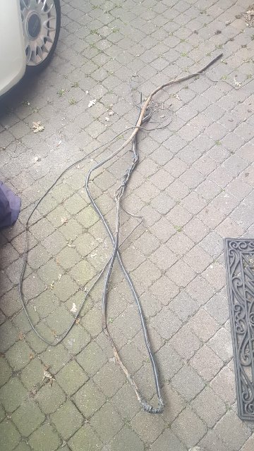 3D957FF4-9F62-48B5-A45C-7D9C9CB8626E