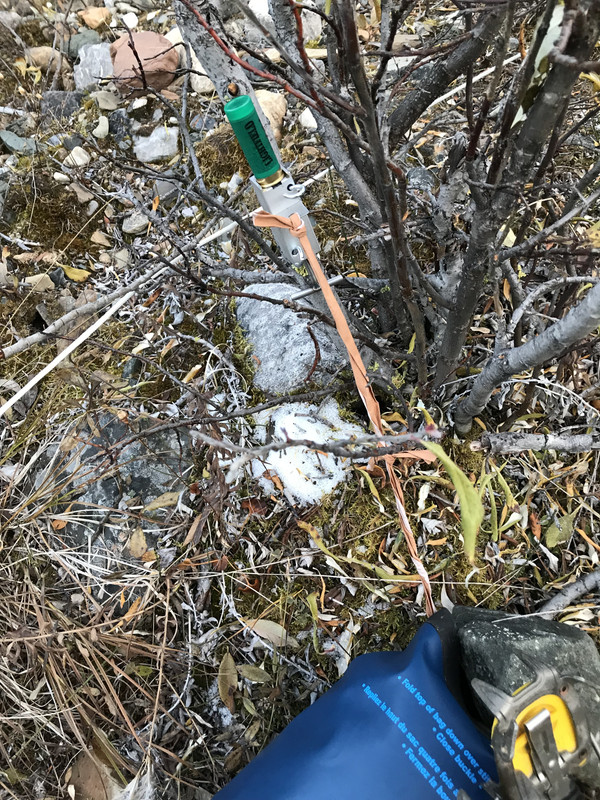 ED332A56-7A6E-4919-9056-52A9D8D53CF1