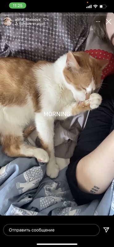 313D1D44-FF9D-4428-8F83-B459144C5654