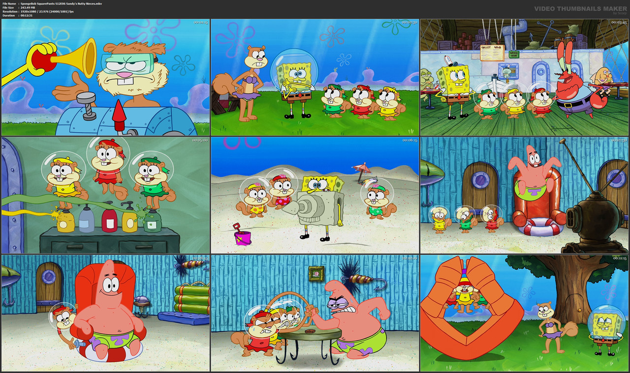SpongeBob SquarePants S12E06 Sandy's Nutty Nieces.mkv