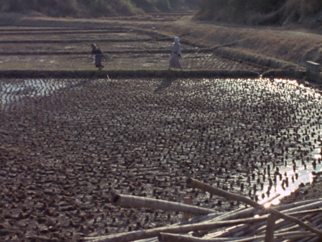 vlcsnap-2025-06-08-02h22m47s300