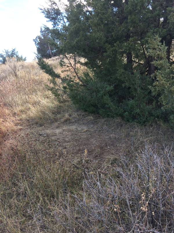 B471F39E-757E-435F-B9EE-70114D9D88B3