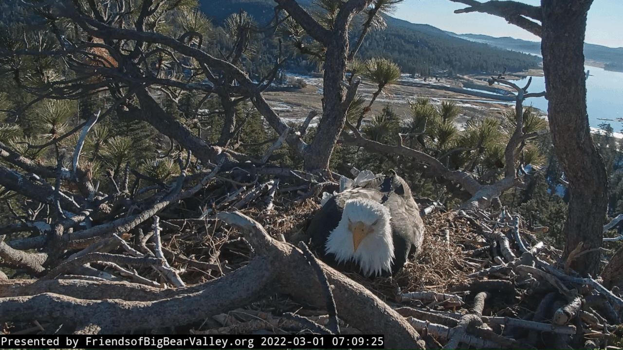 Webp.net-gifmaker (1)