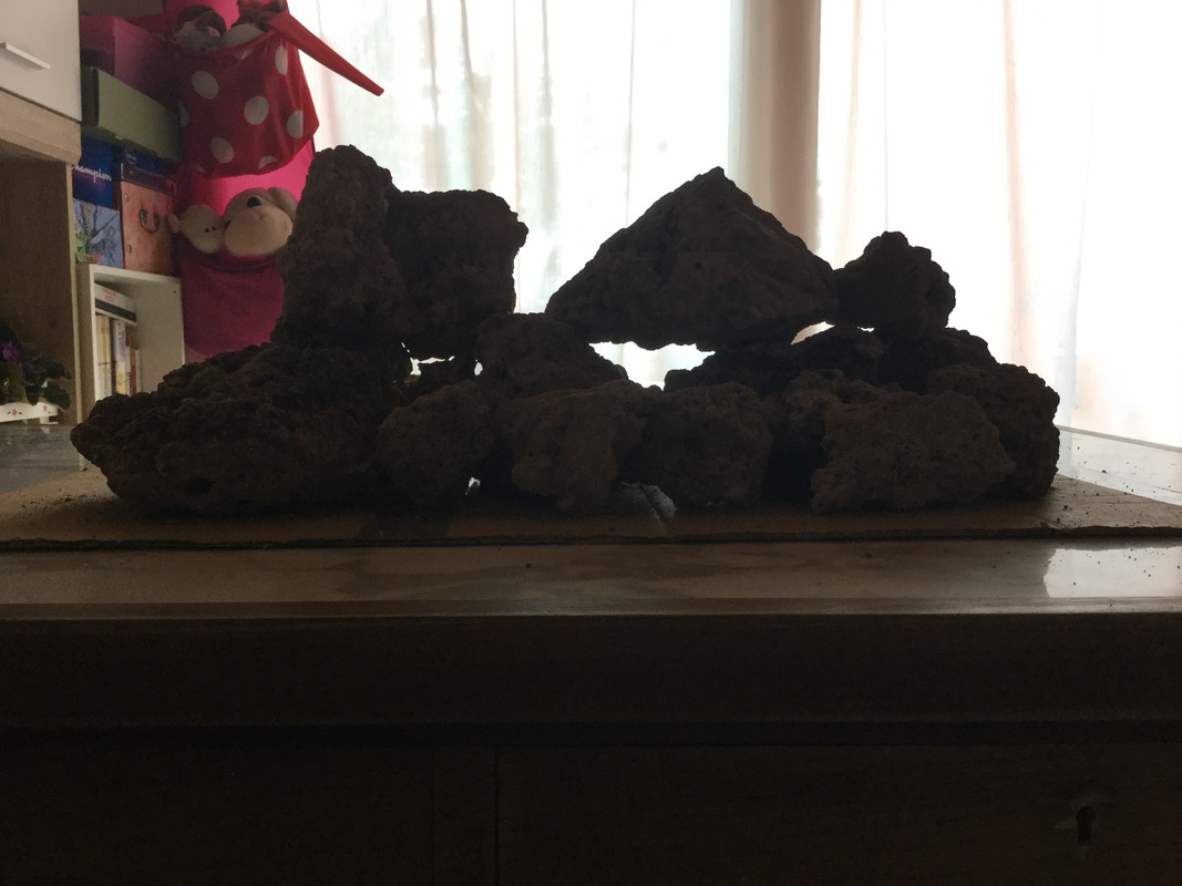 076834F0-9904-49AF-A725-53B4A21106FD