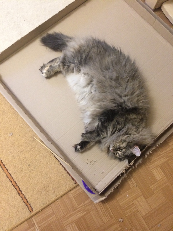 1ACD677B-F99C-4B45-AA92-022D8B3947F5