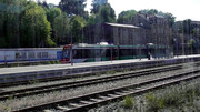 Aue