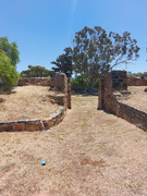 IMG-20250122-WA0173