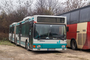 IMG-1580