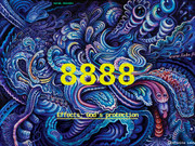 8888 Infinitecode