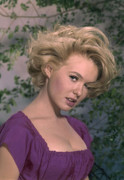 joey-heatherton-b71