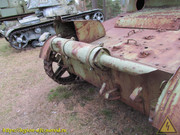 IMG-2523