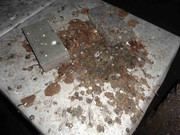 [Obrázky: DSC02828.jpg]