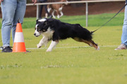 IMG-5145