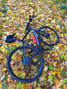 PXL_20211024_152837162