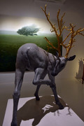 Minima-Gallery-(12)