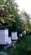 [Obrázky: IMG-20210609-102143.jpg]