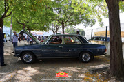 IMG-3101